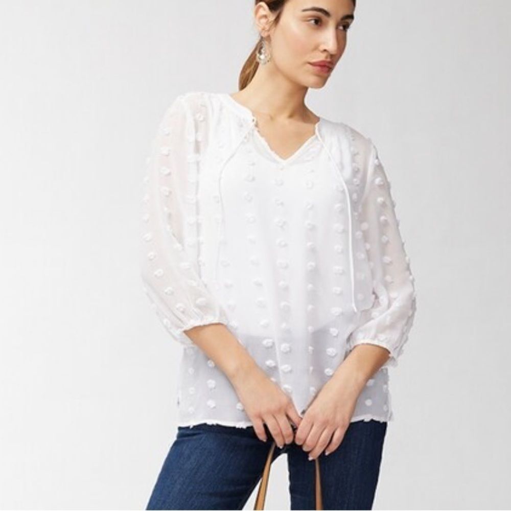 Chico’s Sheer Dot Popover Top Notch Neck 3 Quarter Slve Fashion Alabaster 3 Nwt‎